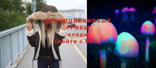 амфетамин Алексеевка