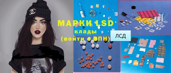ГАЛЛЮЦИНОГЕННЫЕ ГРИБЫ Абаза