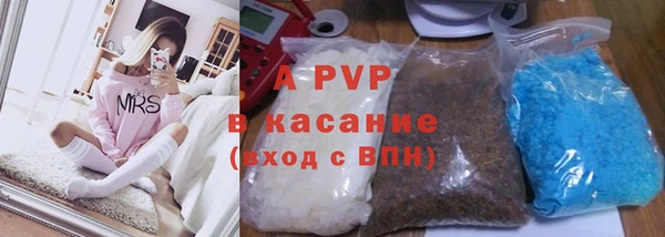 стаф Алексин