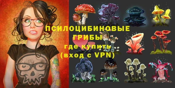 прущий лед Алзамай