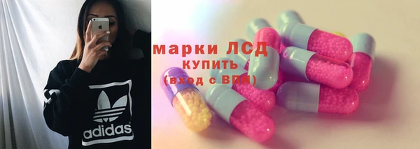 стаф Алексин