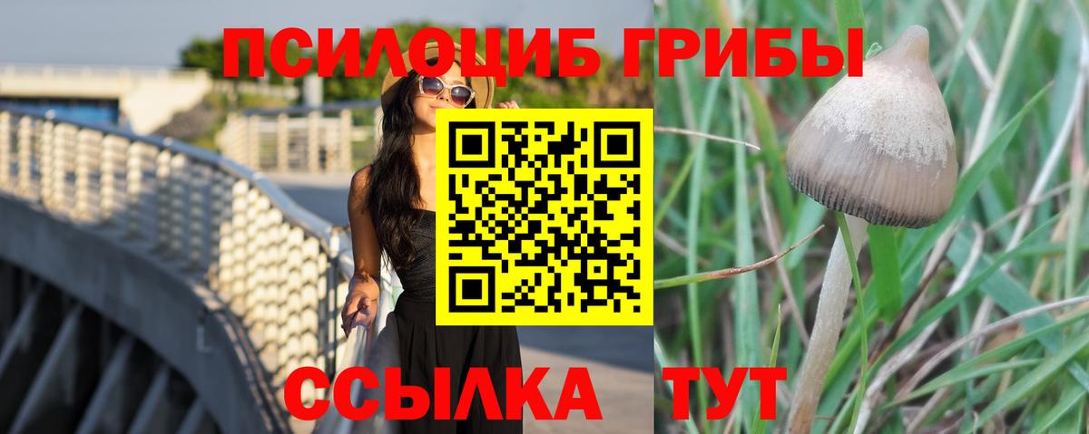 Галлюциногенные грибы MAGIC MUSHROOMS  Вход с VPN  Зеленокумск 