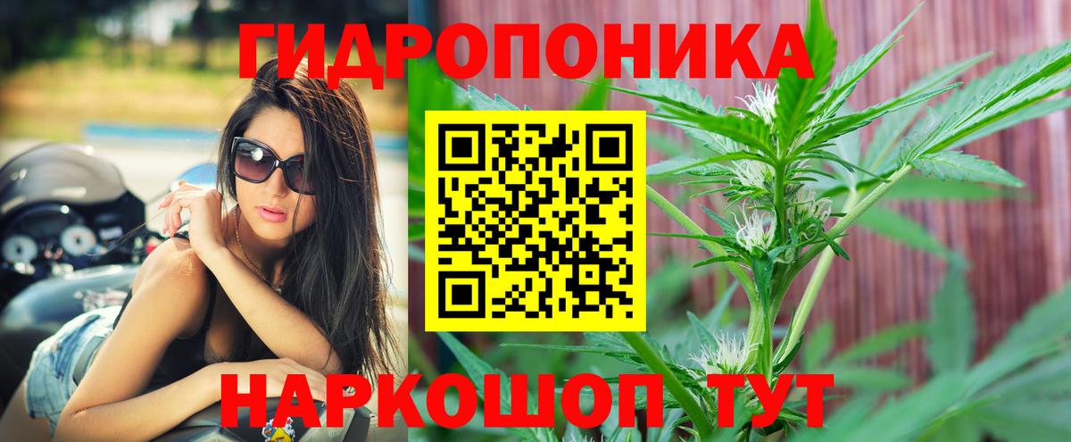 МАРИХУАНА Bruce Banner Зеленокумск